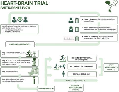 Exercise and brain health in patients with coronary artery disease: study protocol for the HEART-BRAIN randomized controlled trial